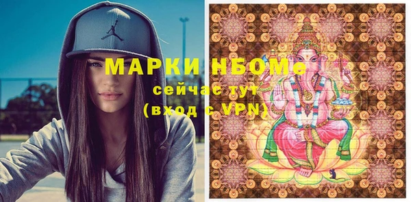 хмурый Няндома