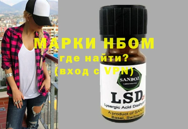 хмурый Няндома